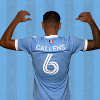 Major League Soccer Reaction GIF by NYCFC