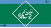 baseball wave GIF by GreenWave