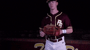 PRCCAthletics wildcats mississippi juco prcc GIF