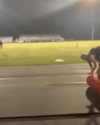 Crowd Goes Wild for Tiny Kids Playing on Field Before High School Football Game
