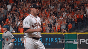 Houston Astros GIF by MLB