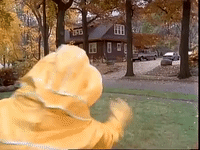 episode 5 specials GIF