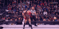 Hikaru Shida Wrestling GIF by AEWonTV