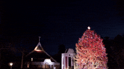 Christmas Tree GIF by fairfieldu