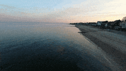 Water Beach GIF by fairfieldu