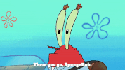 season 9 lost in bikini bottom GIF by SpongeBob SquarePants