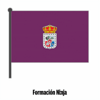 Flag Spain GIF by Formación Ninja