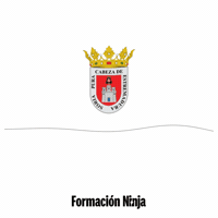 Castilla Y Leon Flag GIF by Formación Ninja