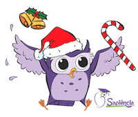 Christmas Owl Sticker by Cursinho Sapiência