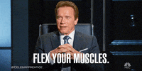 arnold schwarzenegger television GIF by The New Celebrity Apprentice