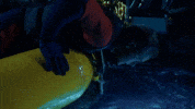 GIF by ABC Network