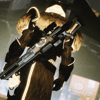 Destiny 2 Pvp GIF by DestinyTheGame