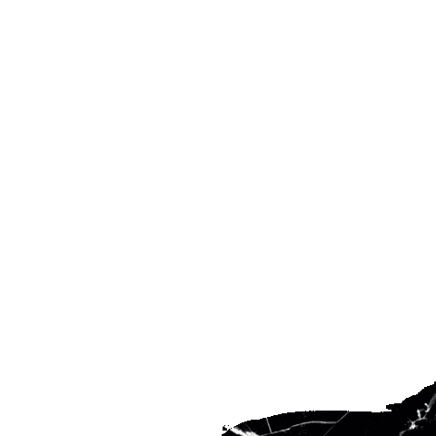 Statementcph giphyupload beauty hair nails Sticker