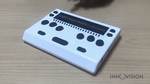 nikitaevdokimov giphygifmaker GIF