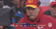 Kansas City Chiefs Football GIF by NFL