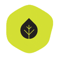 galiacol leaf hoja galia productos naturales Sticker