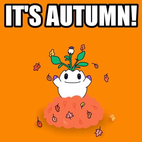 Its Fall GIF by Magic Eden
