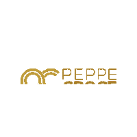 peppecroce music dj night musica Sticker