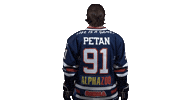 Ice Hockey Sticker by Fehervar AV19