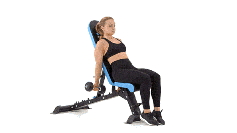 BamBamDoubleBB giphyupload incline dumbbell curl GIF