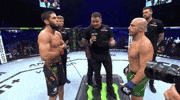 Mixed Martial Arts Sport GIF by UFC