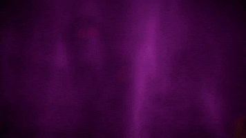 GIF by Angry Birds