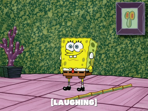 season 5 GIF by SpongeBob SquarePants