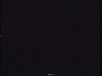 Television Glitch GIF by Squirrel Monkey