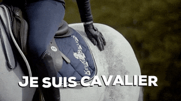 EQUIDEO cheval cavalier chevaux jesuiscavalier GIF