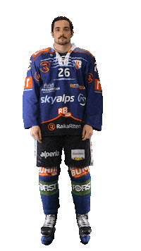 Ice Hockey Sport Sticker by Rittner Buam
