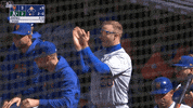 Happy Major League Baseball GIF by New York Mets
