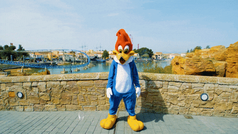 Well Done Celebration GIF by PortAventuraWorld