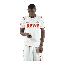 Fc Cologne Bundesliga Sticker by 1. FC Köln