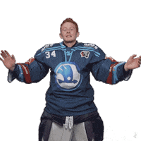 Hockey Applause Sticker by HC Škoda Plzeň