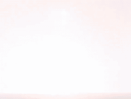 season 8 episode 10 GIF by SpongeBob SquarePants