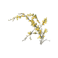 한국꽃 Sticker by vank