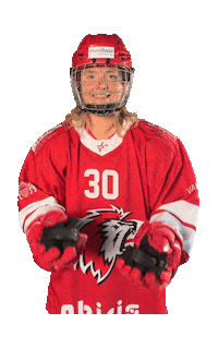 Hockey Juggling Sticker by HCFL