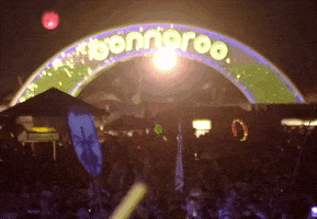 Music Festival Art GIF by Bonnaroo Music and Arts Festival
