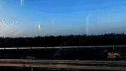 sub pop cast GIF by Sub Pop Records