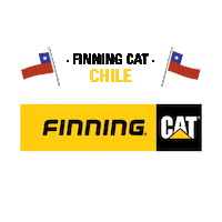 Finning finning cat finning sudamerica finninglatam finningcat Sticker