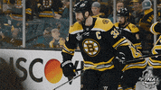 ice hockey sport GIF by NHL