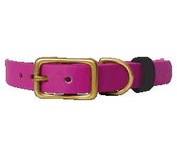 Dog Collar Sticker by Paws Of Kow