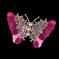 aidanandice accessories brooch aidanandice GIF