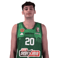 Pao Pana Sticker by Panathinaikos BC AKTOR