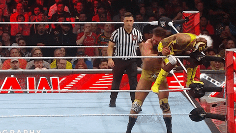 Wwe Wrestler GIF by USA Network