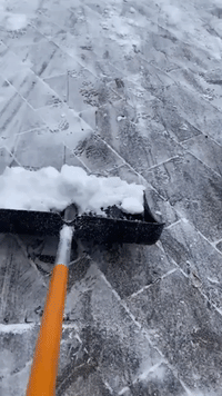 'Pawsitive Vibes': German Dog Chases Shovel for a Taste of Snow