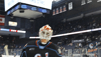 Anaheim Ducks Mood GIF by San Diego Gulls