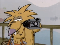 angry beavers nicksplat GIF