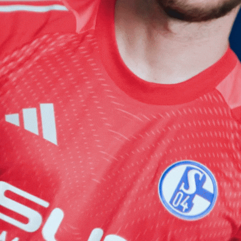 Football Soccer GIF by FC Schalke 04