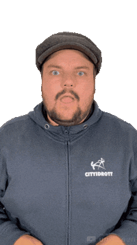 Landskrona Sticker by Knut-Astrid